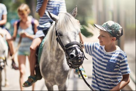 En los campamentos de verano los niños acostumbran a tener o con animales