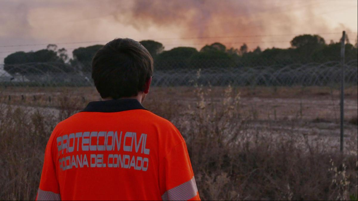 Andalucía lucha contra el fuego: una decena de incendios declarados en 24 horas