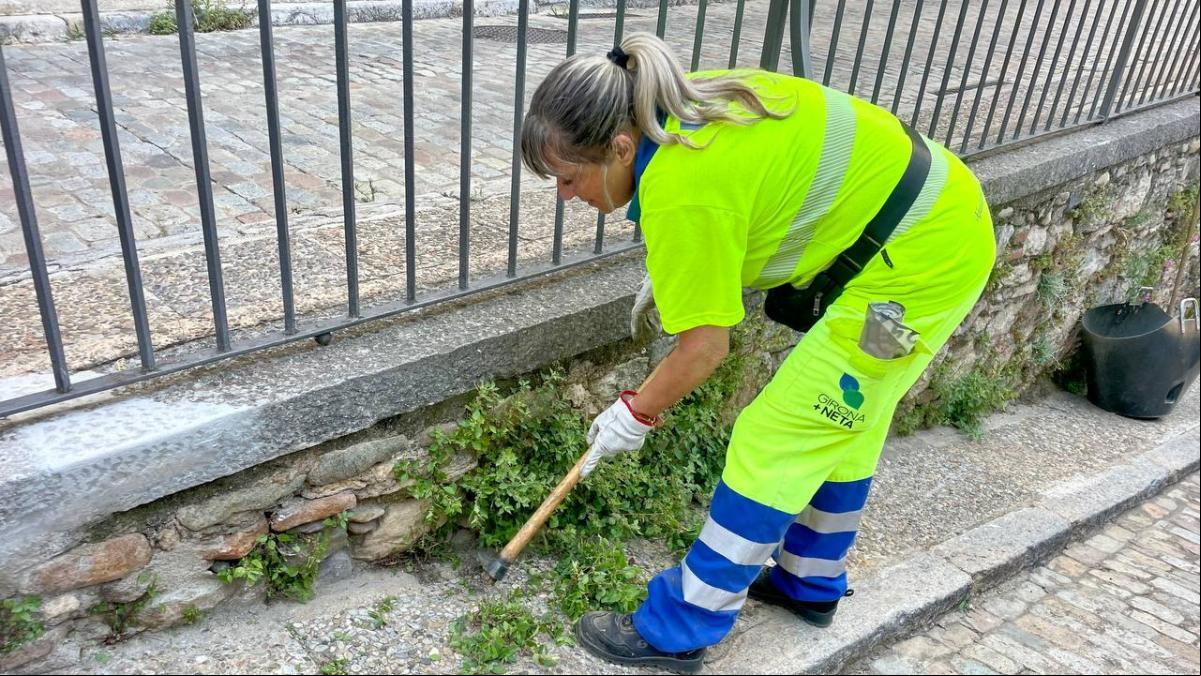 Críticas al Ayuntamiento de Girona por los hierbajos que invaden las aceras de la ciudad